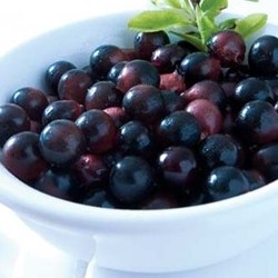 TPA AROMA ACAI 10 ml