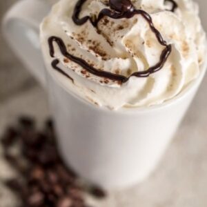 TPA AROMA MOCHA 10 ml