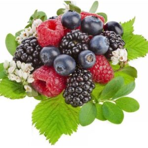 INAWERA AROMA JUST BERRY 10 ml