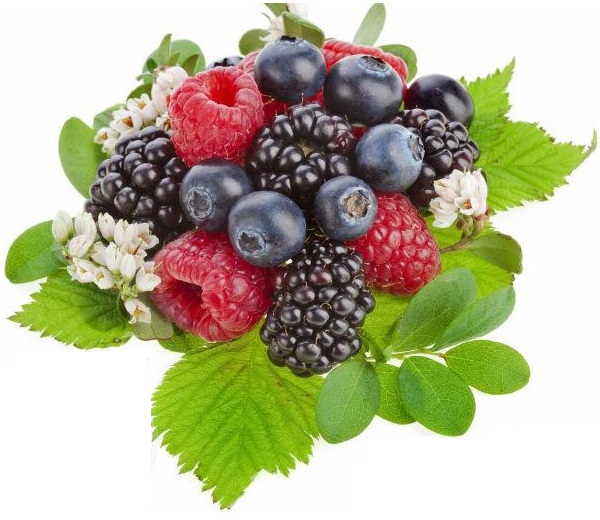 INAWERA AROMA JUST BERRY 10 ml