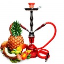 INAWERA AROMA SHISHA TROPIC 10 ml