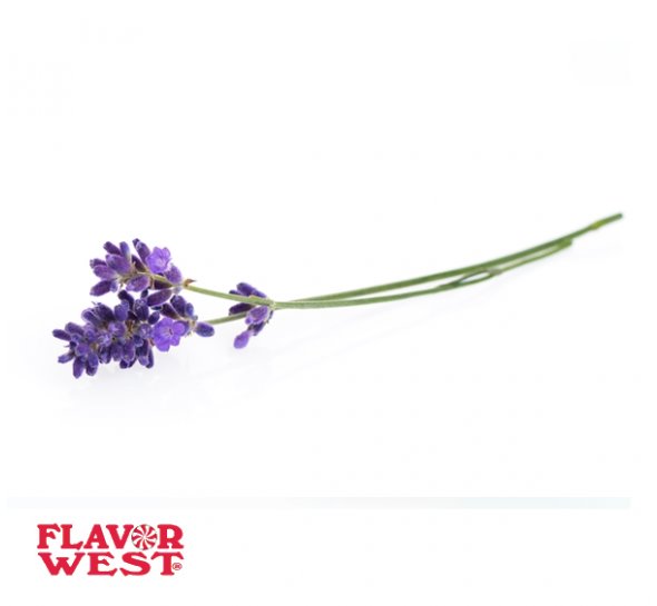 FLAVOR WEST AROMA Lavender 10ml