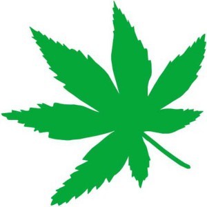 TPA AROMA MARY JANE 10 ml