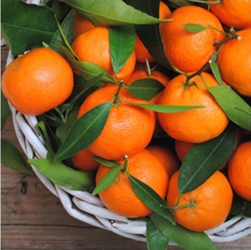 TPA AROMA ORANGE MANDARIN 10 ml
