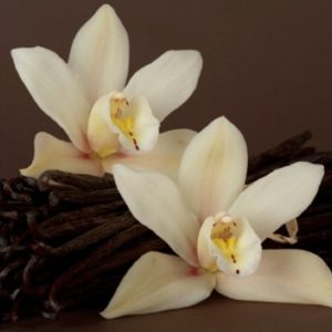 TPA AROMA FRENCH VANILLA CREME 10 ml