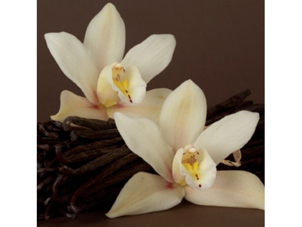 TPA AROMA FRENCH VANILLA CREME 10 ml