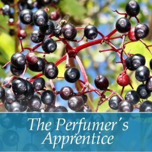 TPA AROMA ELDERBERRY 10 ml, F