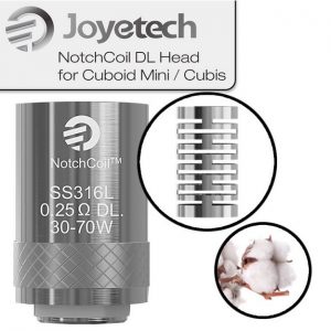 GRIJAČ JOYETECH NotchCoil DL CUBOID MINI/CUBIS SS316 0,25 Ohma